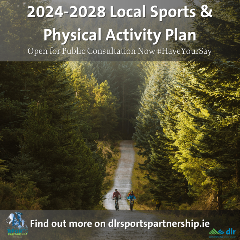 2024 2028 Local Sports Physical Activity Plan D N Laoghaire   MicrosoftTeams Image (16) 